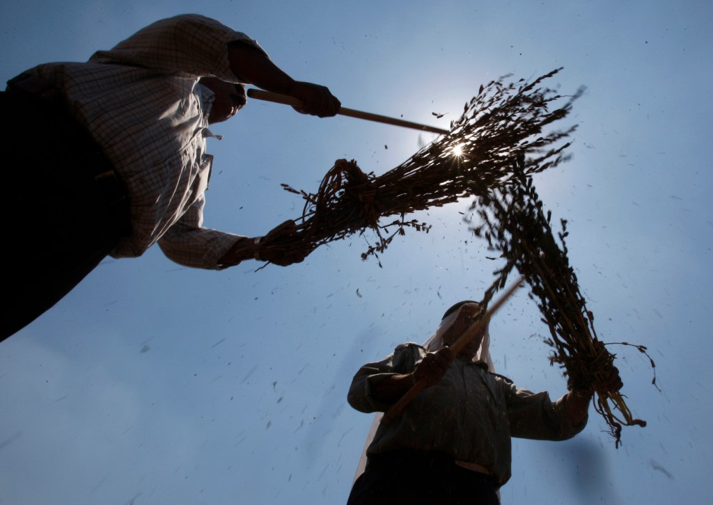 Dire Situation for Newborn Babies in Gaza as Malnutrition Crisis&nbsp;Worsens