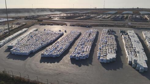 Crisis in Gaza: Hunger Strikes Health Workers Amid Conflict