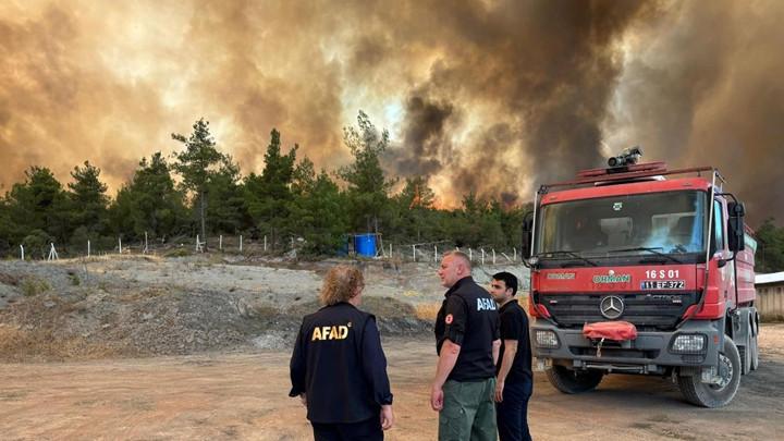 Wildfires Ravage Turkey, Cyprus, and Greece: A Grim Toll on Lives and Nature