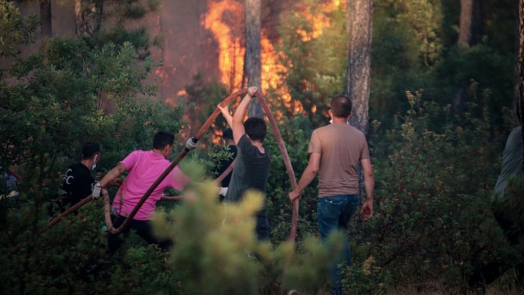 Turkey Battles Catastrophic Wildfires Amid Historic Heatwave