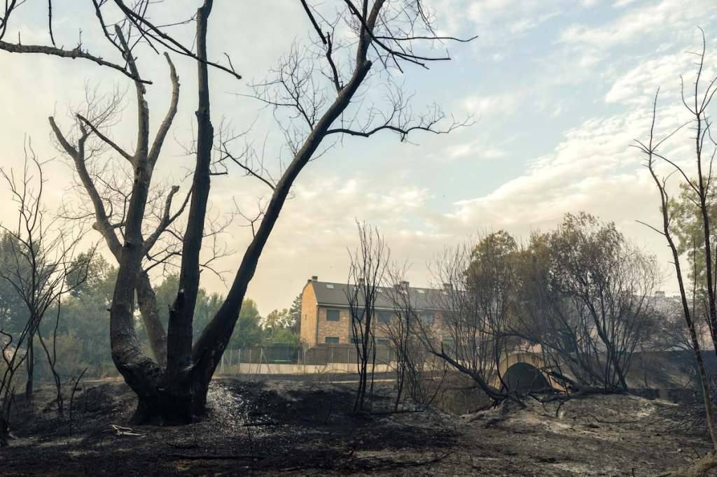 Wildfires Ravage Southern Europe: A National Emergency Declared in&nbsp;Spain