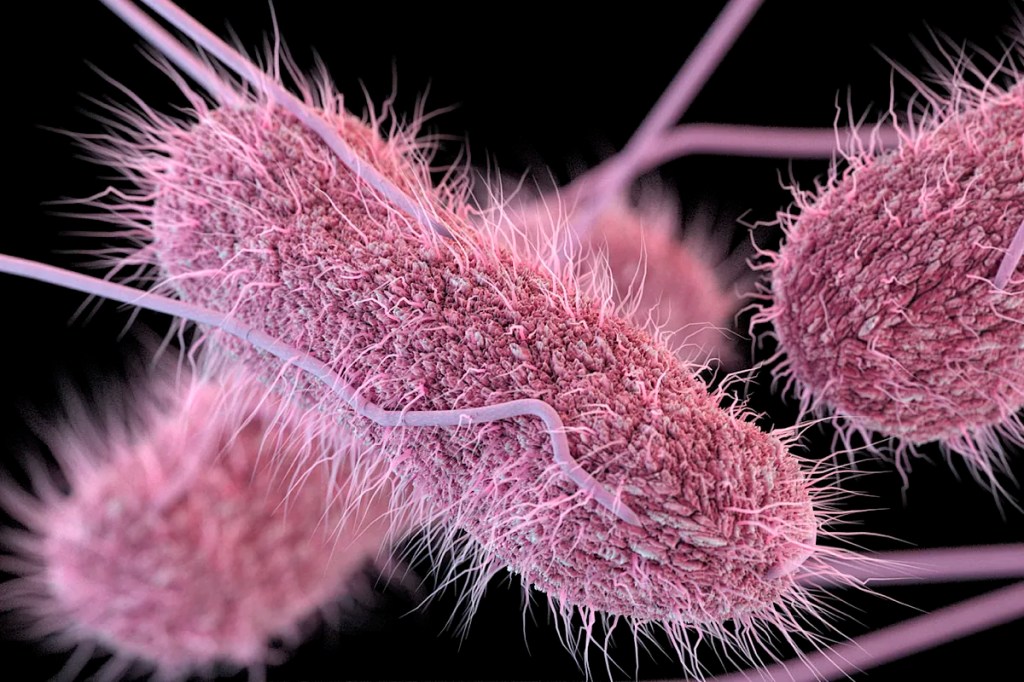 Salmonella Outbreak Strikes Over 100 Guests at Spanish&nbsp;Hotel